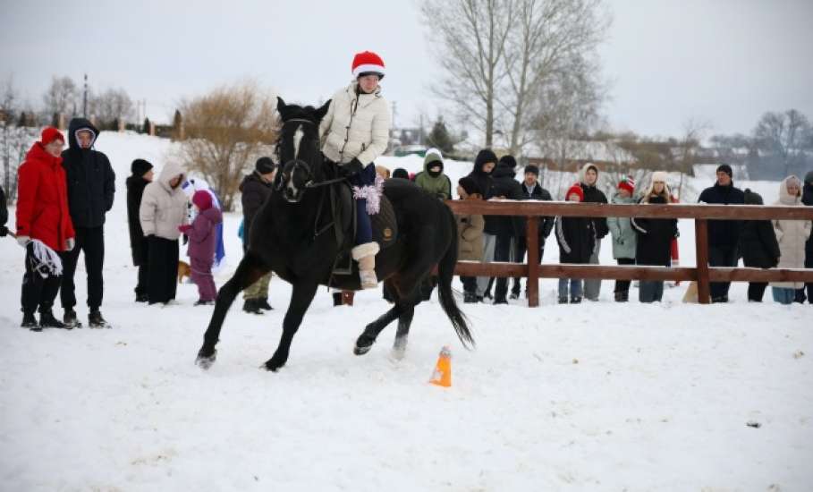 ЗИМНИЕ ЗАБАВЫ.  На фестивальной площадке &laquo;Казачья застава&raquo; прошел яркий, веселый и незабываемый праздник!