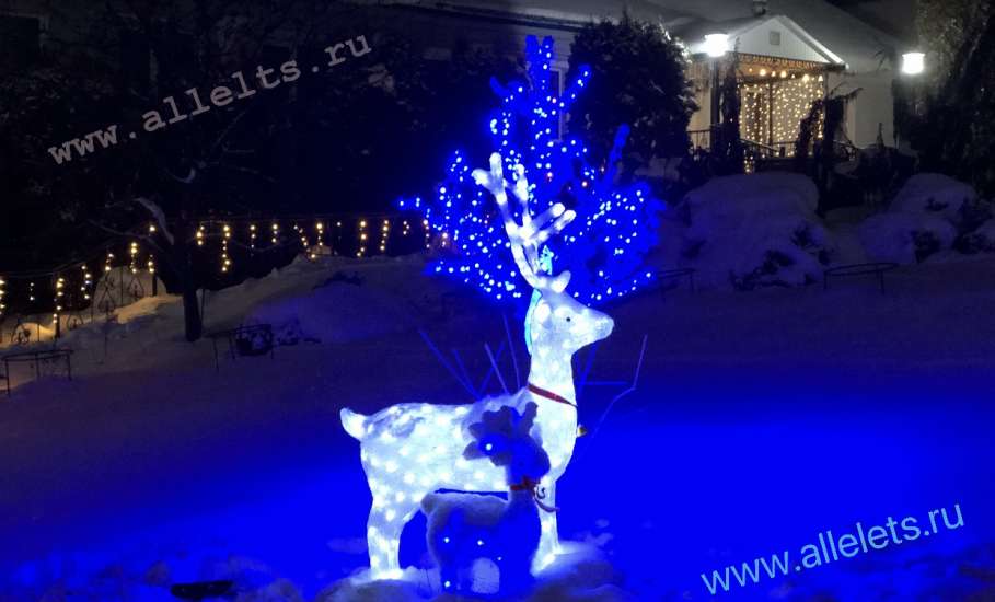 Афиша мероприятий в Ельце на завтра, 8 января 2026 года