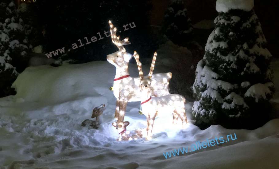 Афиша мероприятий в Ельце на завтра, 8 января 2026 года