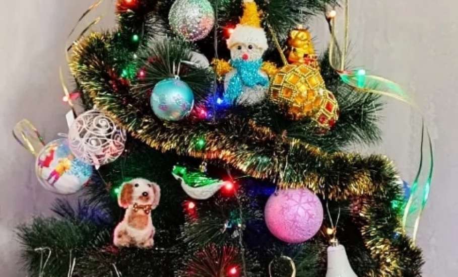 В отделении лёгкой атлетики спортивной школы №1 состоялся конкурс "Новогодняя красавица"