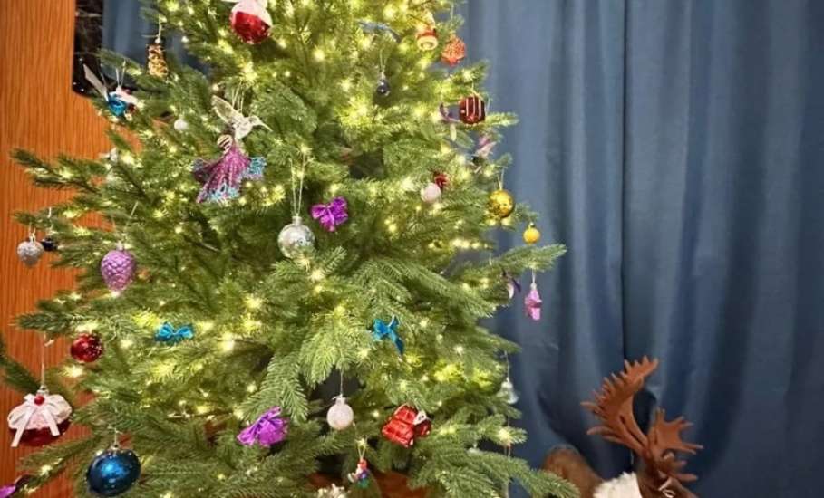 В отделении лёгкой атлетики спортивной школы №1 состоялся конкурс "Новогодняя красавица"