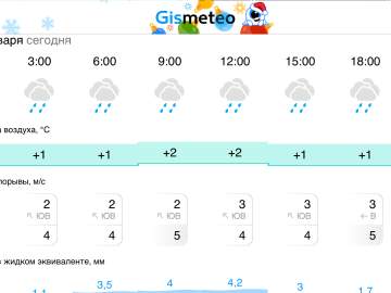 Прогноз погоды на 8 января в Ельце: целый день дождь!