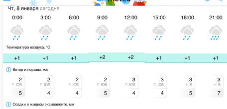 Прогноз погоды на 8 января в Ельце: целый день дождь!