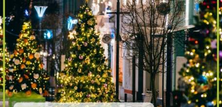 Фестиваль &laquo;Ёлки Липецкой земли&raquo; продлён!