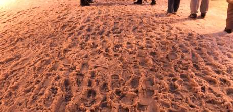 После нашей публикации в центре Ельца выглянула тротуарная плитка! Могут ведь чистить!