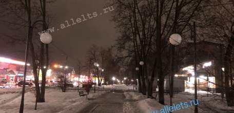 Больше половины фонарей не светят в сквере Харченко в Ельце долгое время!