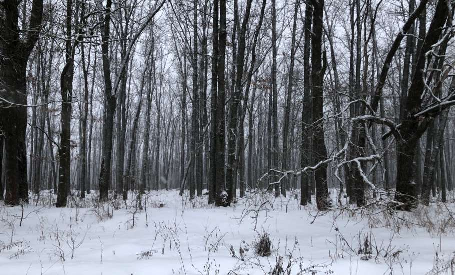 Жителей Ельца ожидает аномально холодная погода!