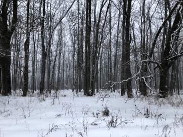 Жителей Ельца ожидает аномально холодная погода!
