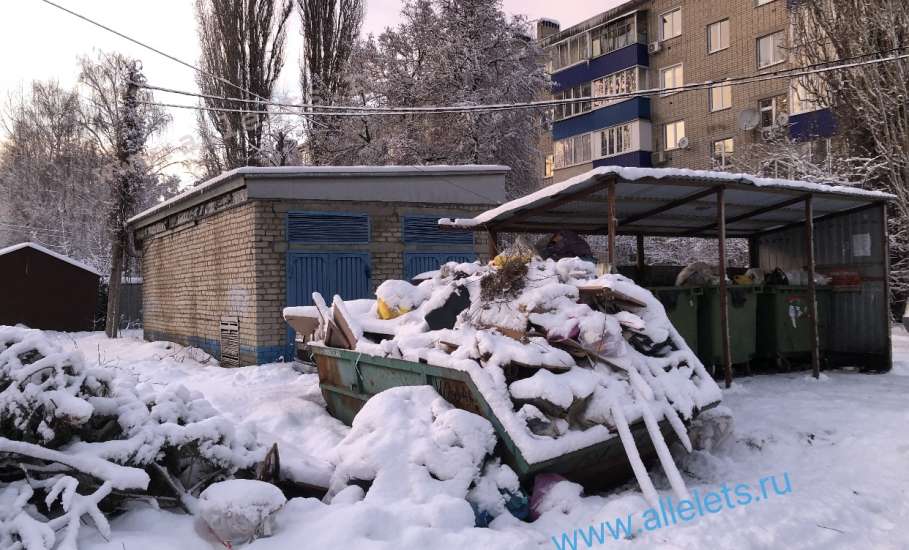 Проблема со своевременным вывозом мусора в Ельце пока есть