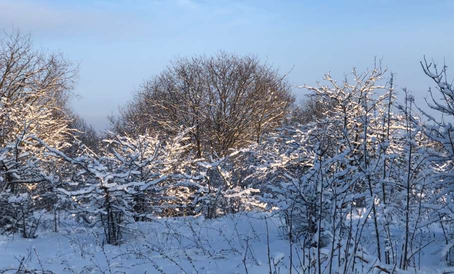Поздравляем жителей Ельца с наступающим Старым Новым годом!
