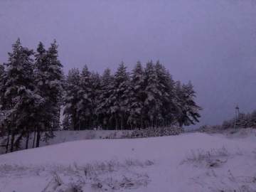 Поздравляем жителей Ельца с наступающим Старым Новым годом!