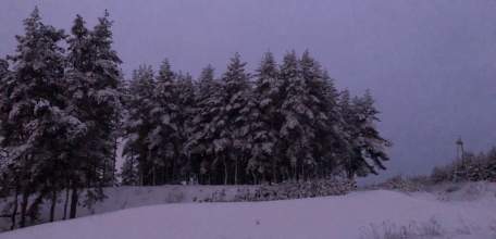 Поздравляем жителей Ельца с наступающим Старым Новым годом!