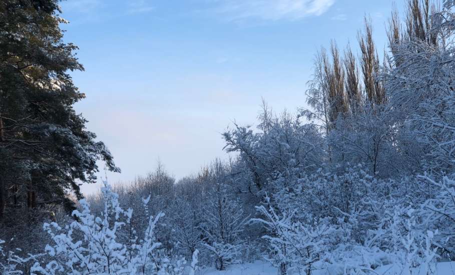 Астрономы допустили столкновение открытого в среду астероида с Землей!