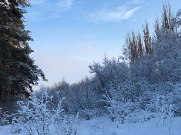 Астрономы допустили столкновение открытого в среду астероида с Землей!