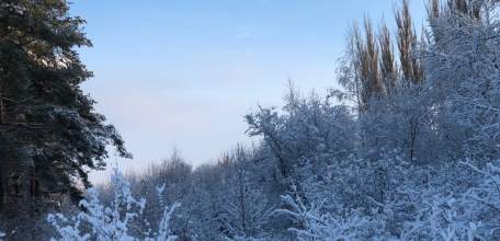 Астрономы допустили столкновение открытого в среду астероида с Землей!