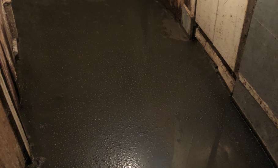 Шок! В Ельце затопило подвал канализационными стоками!