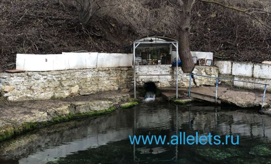 Управление Роспотребнадзора оценило качество воды из крещенских купелей. В Ельце есть проблемы!