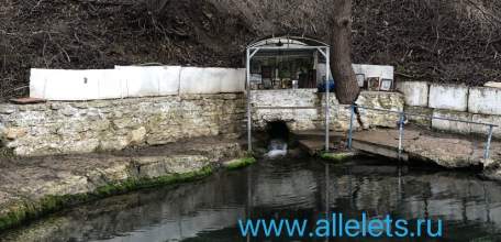 Управление Роспотребнадзора оценило качество воды из крещенских купелей. В Ельце есть проблемы!