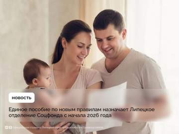 Новые правила получения единого пособия в 2026 году разъясняет Отделение СФР по Липецкой области