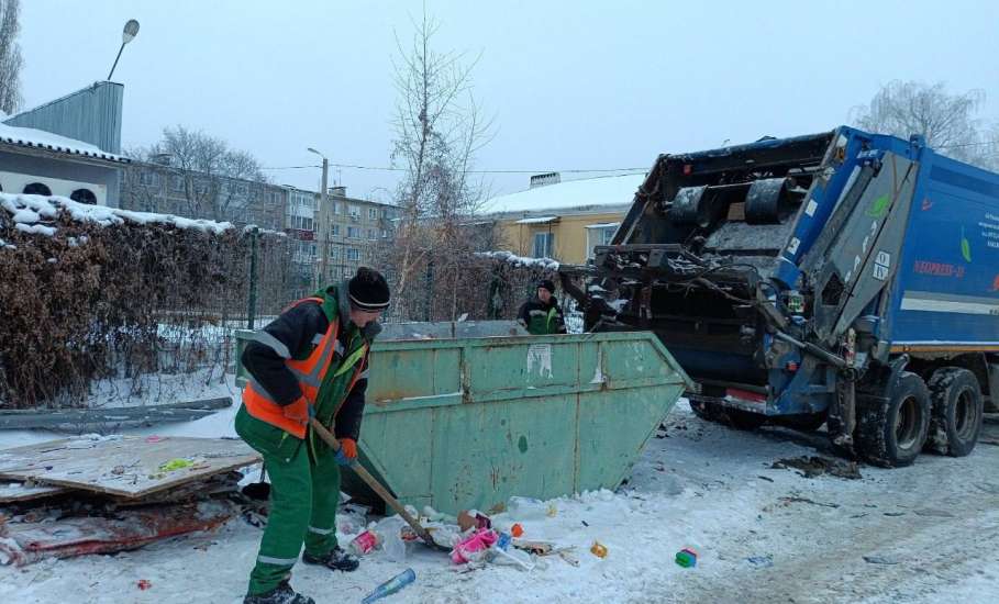 На проблемы с вывозом мусора в Ельце оперативно отреагировал глава города