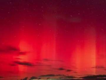 Северное сияние видели ночью в Липецкой области!