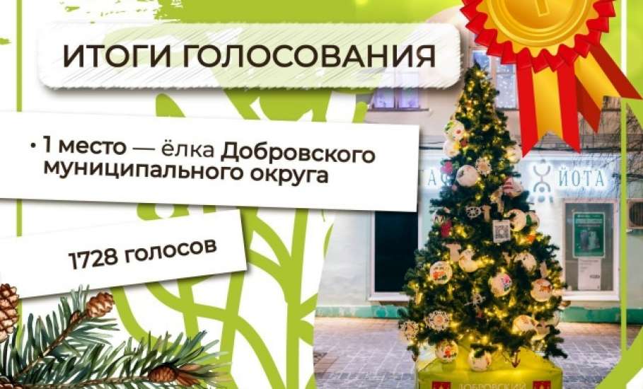 ИТОГИ ФЕСТИВАЛЯ &laquo;ЁЛКИ ЛИПЕЦКОЙ ЗЕМЛИ&raquo;