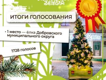 ИТОГИ ФЕСТИВАЛЯ &laquo;ЁЛКИ ЛИПЕЦКОЙ ЗЕМЛИ&raquo;