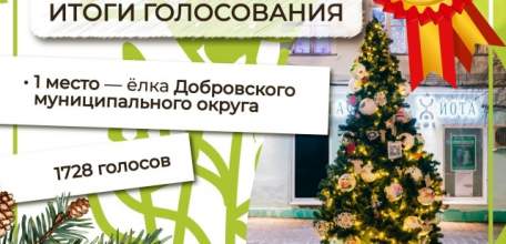 ИТОГИ ФЕСТИВАЛЯ &laquo;ЁЛКИ ЛИПЕЦКОЙ ЗЕМЛИ&raquo;