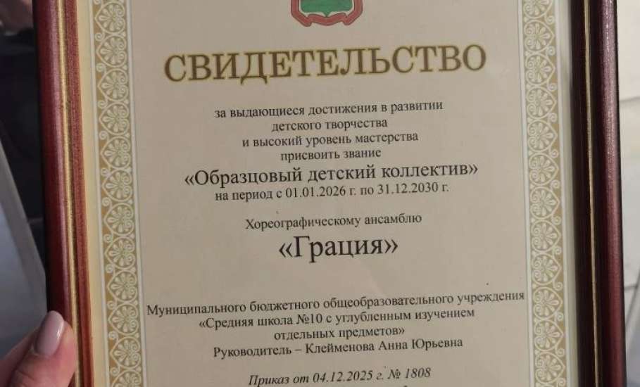 Творческим коллективам Липецкой области присвоили звание "Образцовый детский коллектив"