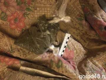 Ельчанин нарвал дикорастущей конопли и теперь его ждёт суд