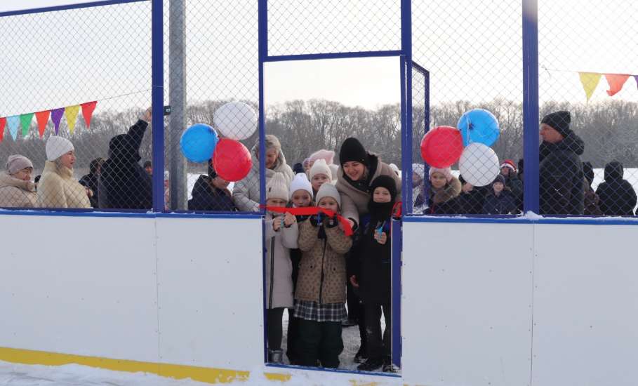 В селе Талица открыта современная хоккейная коробка, построенная в рамках муниципального проекта &laquo;Развитие сельских территорий через детский спорт&raquo;