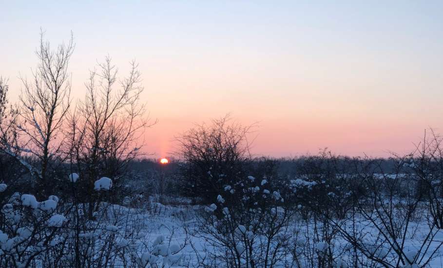 В Госдуме предложили отправлять работников на удаленку при сильных морозах