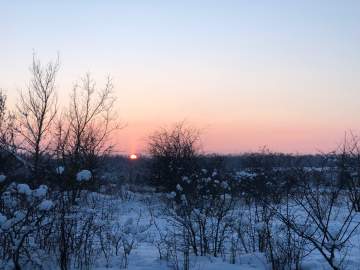 В Госдуме предложили отправлять работников на удаленку при сильных морозах