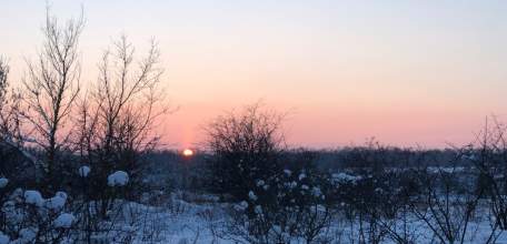 В Госдуме предложили отправлять работников на удаленку при сильных морозах