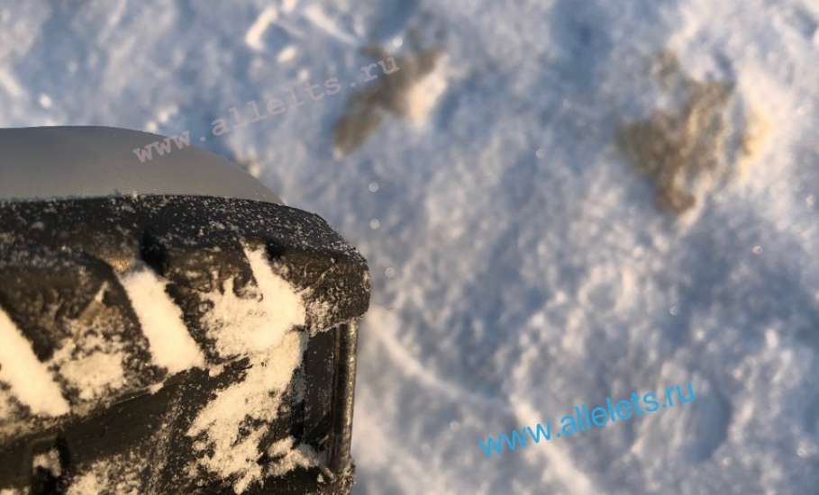 На лыжной базе в Ельце пора менять прокатное снаряжение!