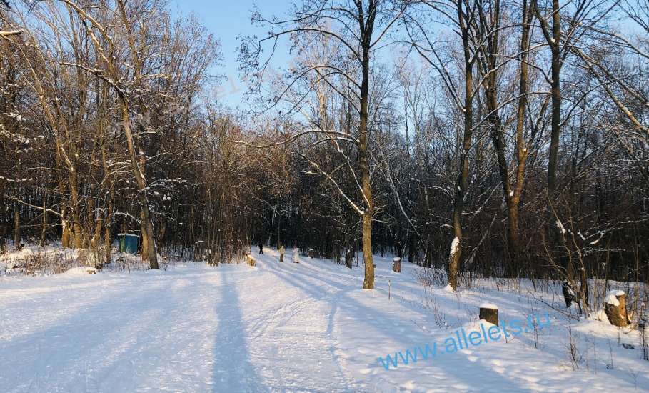 На лыжной базе в Ельце пора менять прокатное снаряжение!