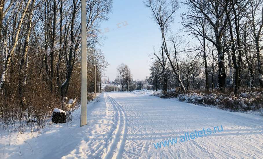 На лыжной базе в Ельце пора менять прокатное снаряжение!