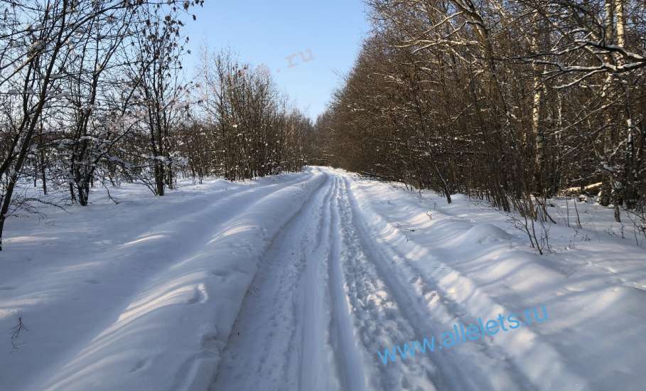 На лыжной базе в Ельце пора менять прокатное снаряжение!