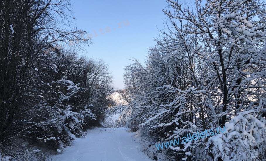 На лыжной базе в Ельце пора менять прокатное снаряжение!