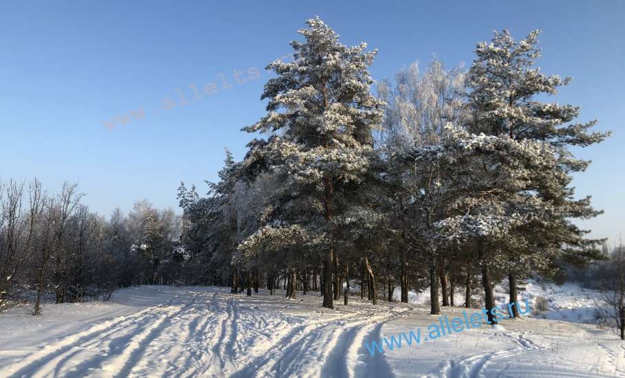 На лыжной базе в Ельце пора менять прокатное снаряжение!