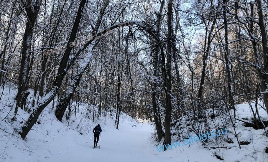 На лыжной базе в Ельце пора менять прокатное снаряжение!