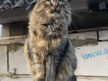 Плата за холодную воду в России повысится вдвое для жильцов без счетчиков!