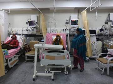 В Индии зафиксирована вспышка смертельного вируса Нипах! Возможна новая пандемия