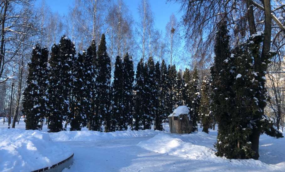 Фотопрогулка по городу Ельцу январским днём