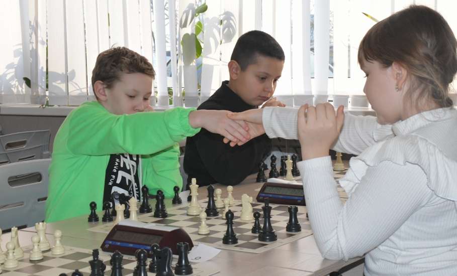 В минувшие выходные в Елецком округе стартовали традиционные соревнования на Кубок главы Елецкого округа по быстрым шахматам