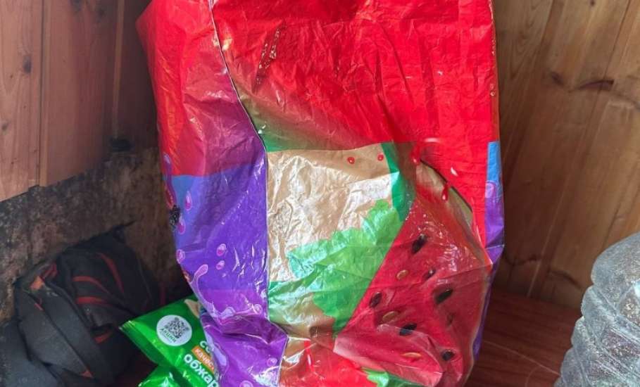 В Липецком районе полицейские изъяли более килограмма марихуаны!