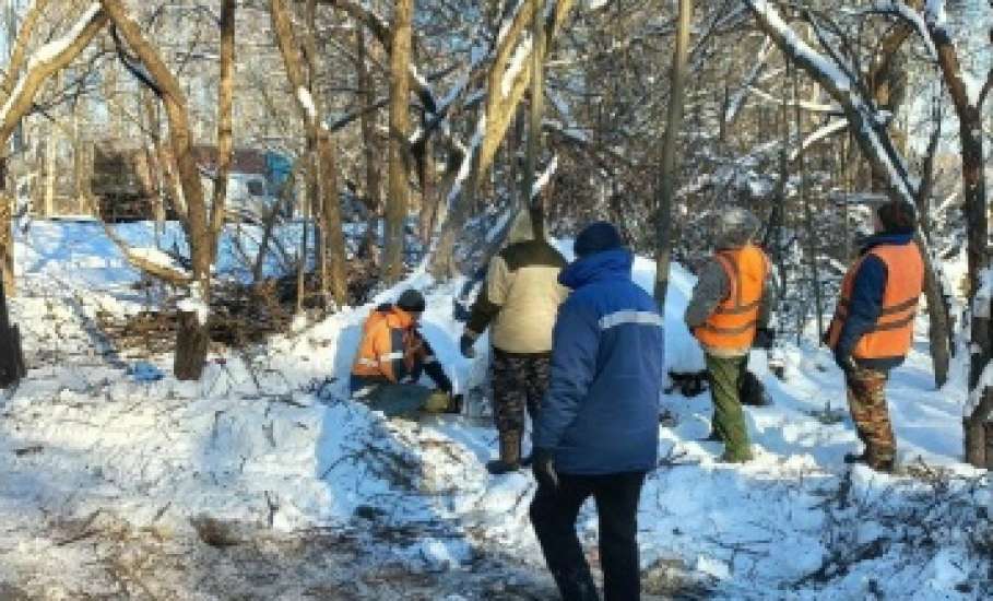 Каждый день сотрудники организации поддерживают порядок в Ельце