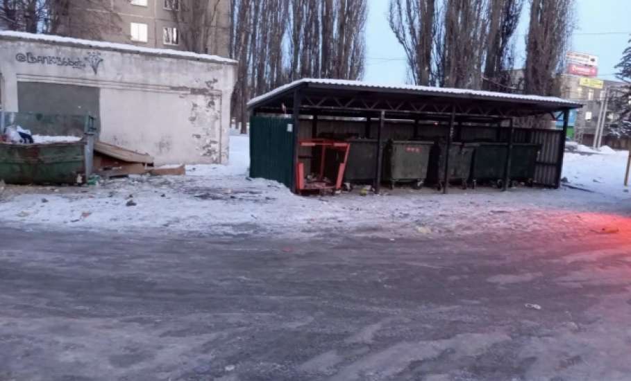 Проблемные мусорные контейнеры убраны в Ельце