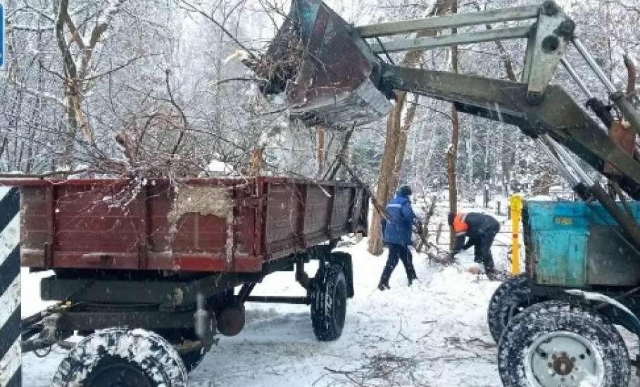 Будни работников городского благоустройства
