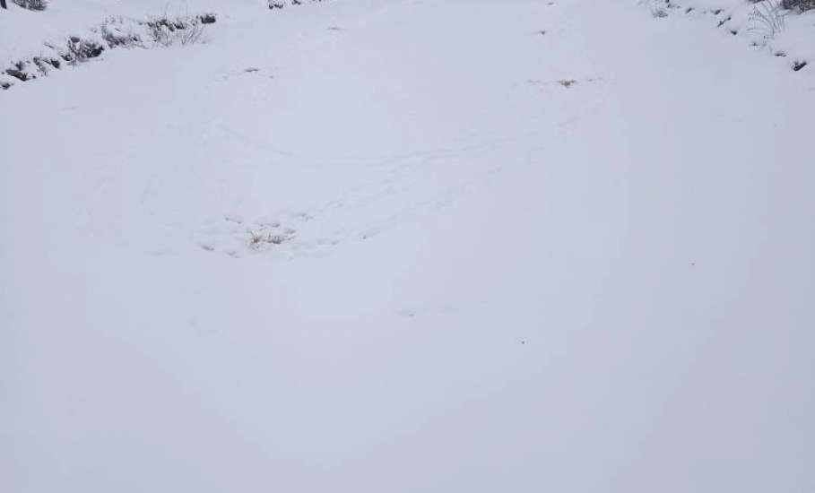 Зачем в Петровском парке в пруду делают лунки и закладывают в них солому?